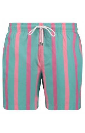 TURQUOISE, SALMON AND PURPLE STRIPED SWIM SHORTS