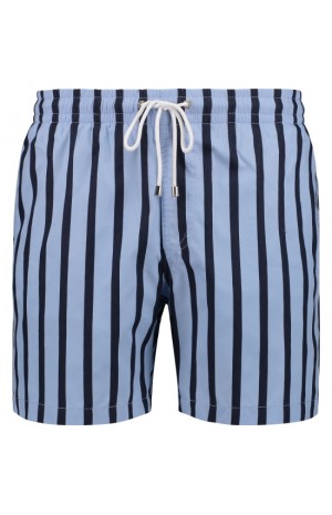BLUE AND NAVY STRIPED SWIM SHORTS